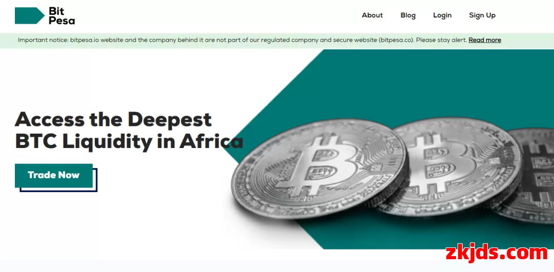 BitPesa 第1张