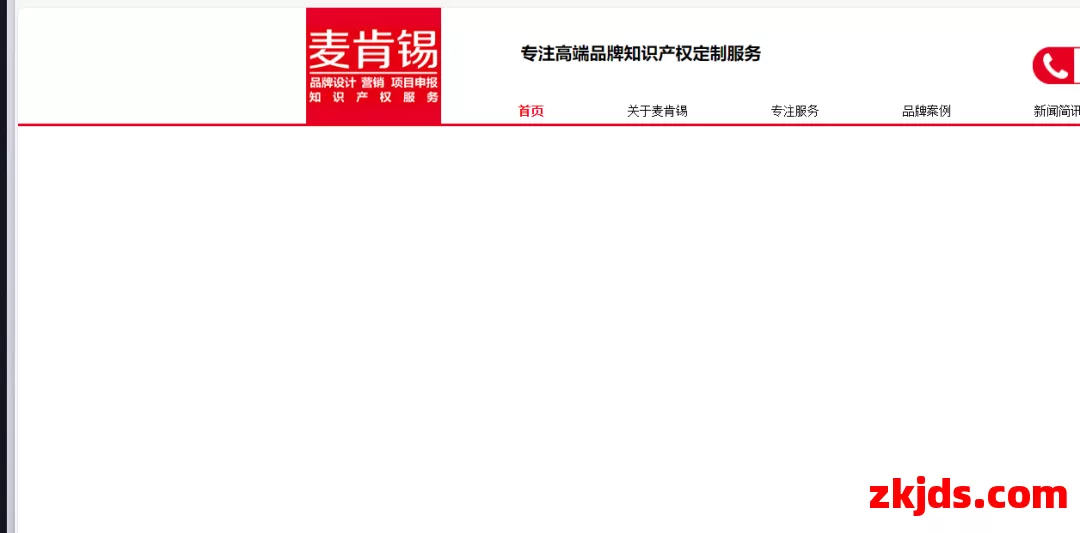 麦肯锡知识产权 第1张