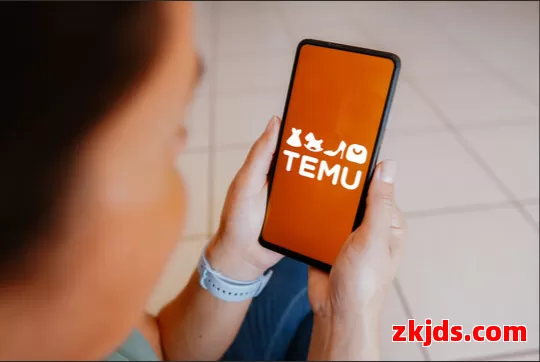 Temu与拼多多是什么关系？商业逻辑背后的秘密 第1张