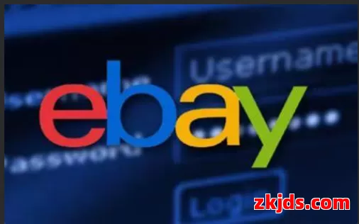 eBay菲律宾站 第1张
