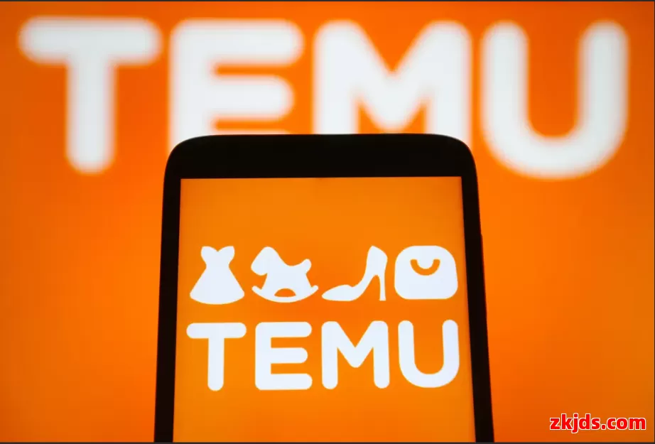 Temu德国站 第1张