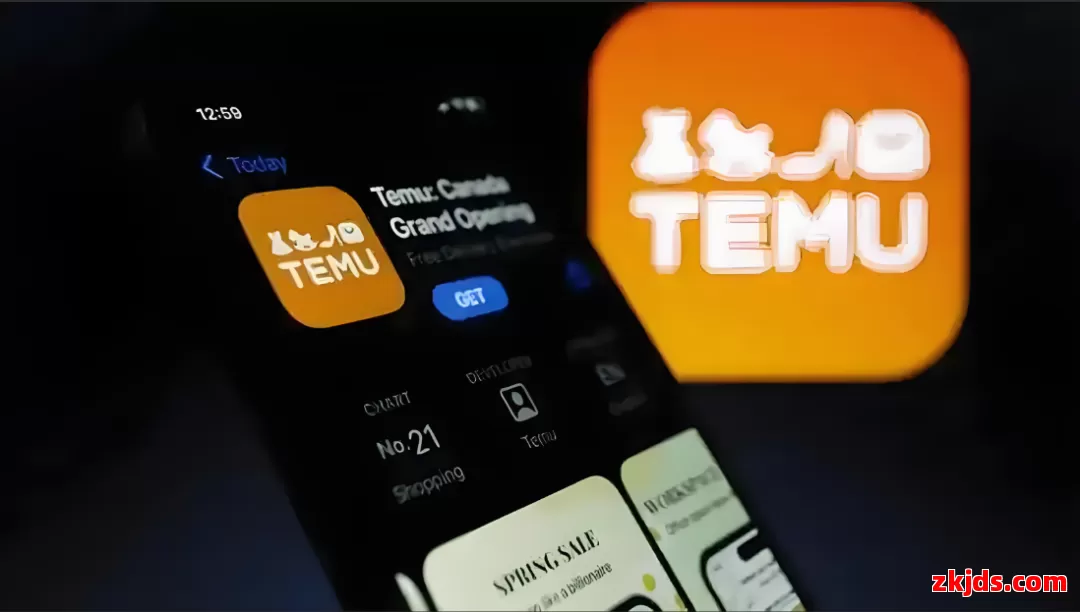 Temu荷兰站 第1张