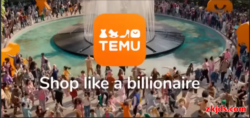 Temu葡萄牙站 第1张