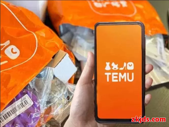 Temu南非站 第1张