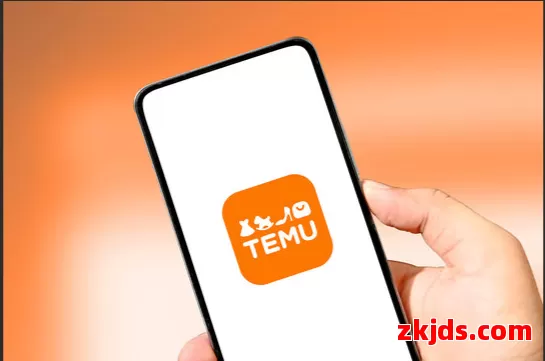 Temu毛里求斯站 第1张