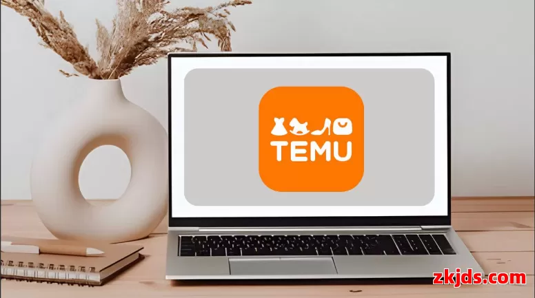 Temu格鲁吉亚站 第1张