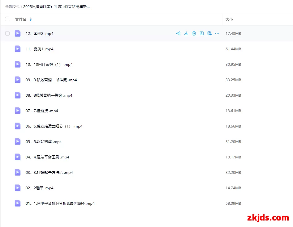 2025出海冒险家：社媒+独立站出海新机遇12节手把手教你从0到1掘金全球市场！(视频网盘） 第1张