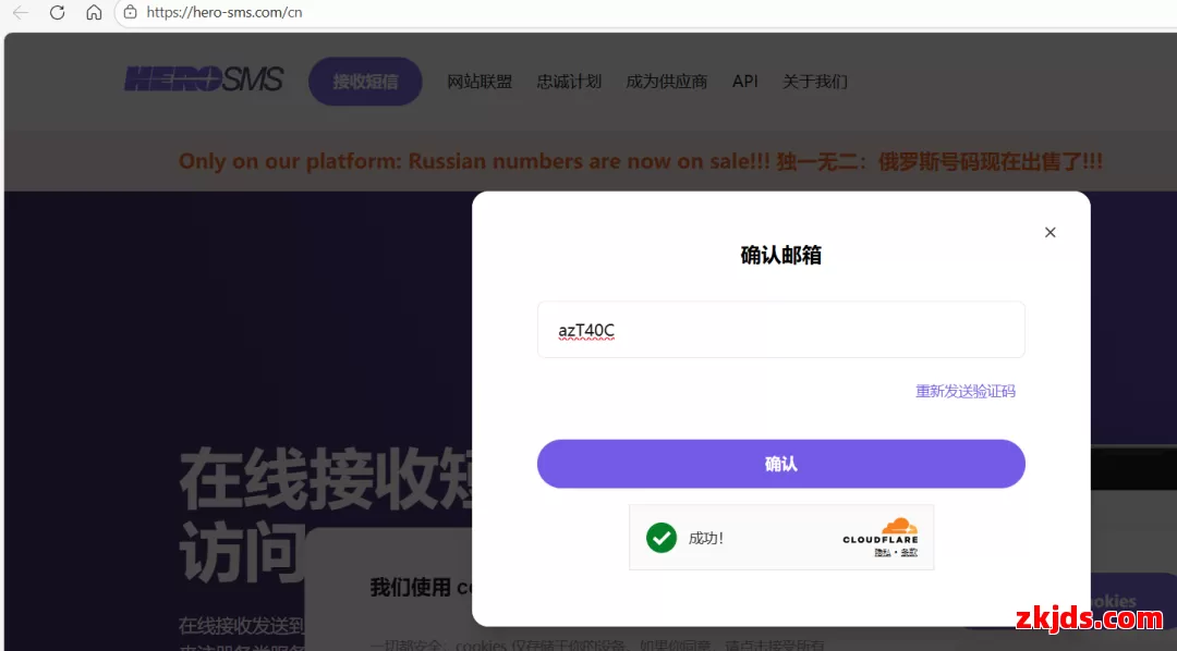 十年接码平台SMS-Activate 跑路，但处理余额的方式值得尊重，附避坑指南 第5张