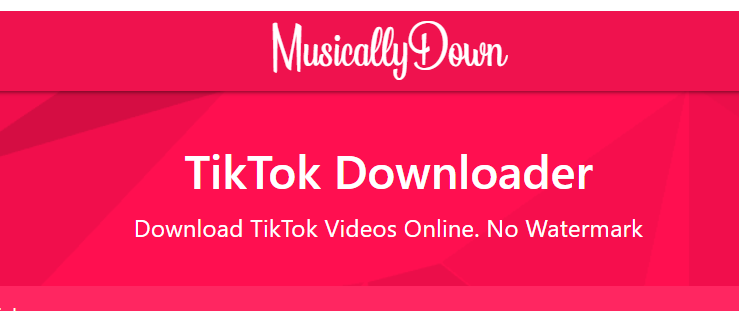 TikTok下载器