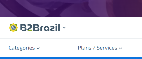B2Brazil