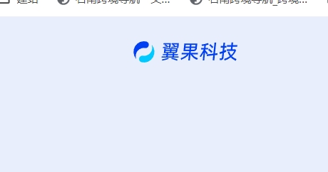 翼果科技