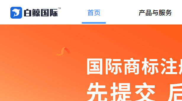 白鲸国际
