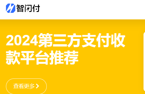 智闪付